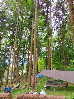 山の神キャンプ場