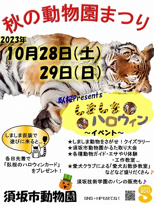 秋の動物園まつりのポスター。トラが気持ちよさそうに横になって寝ている写真が写っているデザイン。