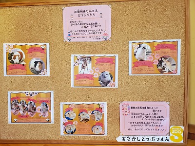 昨年初節句を迎えた動物たちの紹介パネルの写真