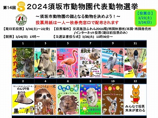 動物選挙集合ポスター