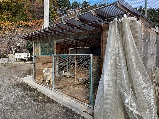 移動先の獣舎前