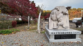 ハッチの墓