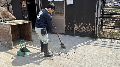 飼育員がほうきをもっている写真