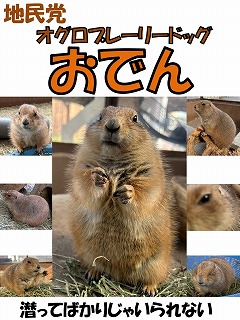 選挙ポスター