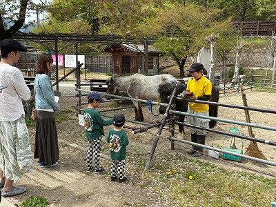 ポニーと飼育員、柵の外で観客が見ている