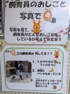 クイズパネル