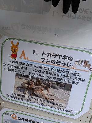 クイズパネル。答え