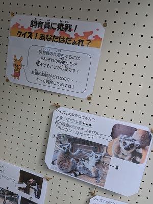 クイズパネル