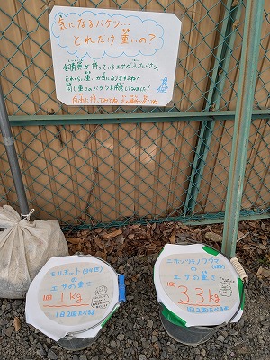 バケツが２つ並んで置いてある。開口部に貼ってある用紙には、動物の食べるエサの重さが書かれている