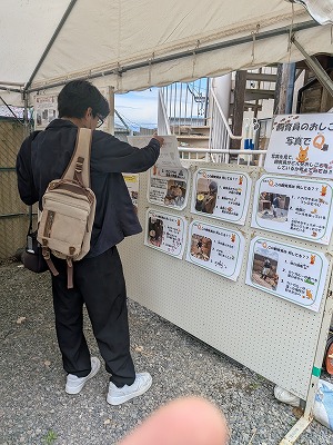 クイズパネルを見る観客