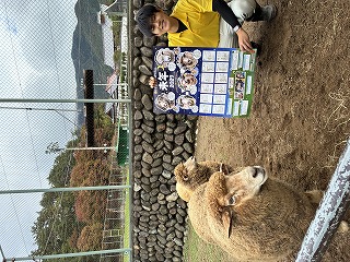 飼育員とヒツジがカレンダーを見ている写真